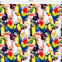 Fototapete Tropical Birds