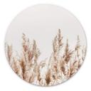 Tableau en alu-Dibond Roseau - Rond