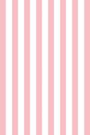 Personligt Canvasbillede med striber i pink