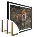 Póster - Fox 02