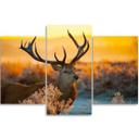 3 stykke lærredstryk Hjortedyrs solnedgang natur
