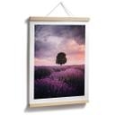 Póster Campos de lavanda púrpura al atardecer - Cevik