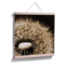 Poster - Dandelion