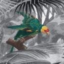 Kikki Belle - Fotomural de aves tropicales en blanco y negro