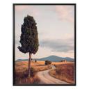 Plakat - Colombo - Cypress Path