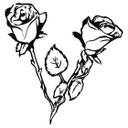 Rose bed