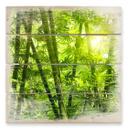 Cuadro de madera Sol en un bosque de bambú - 40x41,5 cm