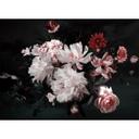 fototapet Designwalls i hvid og pink non-woven tapet BunchofFlower roser 