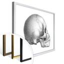 Póster Calavera 02
