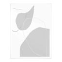 Poster Sawall - Greyish