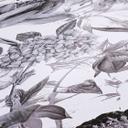 A.S. Création Dream Flowery papier peint intissé floral