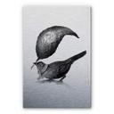 Dibond Schilderij met zilver effect Nicebleed - the Messenger