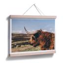 Póster - Highland Cow 02