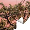 Tapet cirkel Zhao - Birds at Sunset - vliesetapet/selvklæbende non-woven tapet