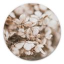 Tableau en Alu-Dibond Annie - Fleurs en velours - Rond