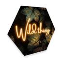 Hexagon Dibond Alu-Dibond Fredriksson - Wild thing