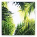 Canvasbillede, palme blade planter