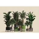 Fotomural Paredes de Patel 3 Plant Shop 1 verde, beige, gris, negro