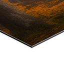Fototapet Gyldne blade i en tåget skov - Maier Panorama – print på aluminium