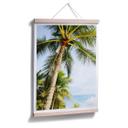 Póster - Palmeras 07