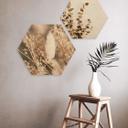 Hexagone - Bois Annie - Faisceau d'herbes
