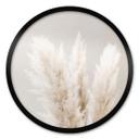 Plakat 1X Studio - Pampas