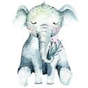 Sticker mural Kvilis - Bébé éléphant endormi