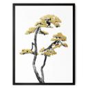 Plakat Amini - Bonsai