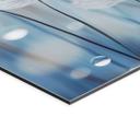 Billede af dugperler på mælkebøtter - Treechild – print på aluminium (Alu-Dibond)