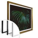 Plakat - Botanical 04