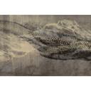 Guido Maria Kretschmer Fotobehang Art Edition Deep Sea Gold
