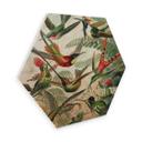 Hexagon Hout Haeckel - Kolibries