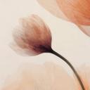 Fototapet Treechild - Delicate Flowers
