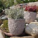 Betonnen Bloempot met Versiering