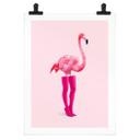 Póster Flamingo rosa - Pozdniakov - Flaminciaga