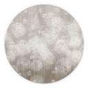 Wanddecoratie Paardenbloemen Droom in Beige - Ms Tiff - Alu-Dibond Rond
