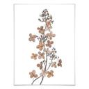 Poster Disher - Hortensia