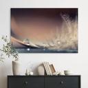Billede Planter i natten - Jaszke – print på aluminium (Alu-Dibond)
