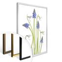 Plakat - Disher - Forårsblomster