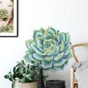 Muursticker Vetplant