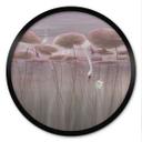 Poster lotusbloemen met zwaan in water in donkerroze - Ms Tiff - Rond