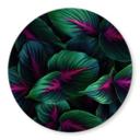 Glasbillede - Farverige jungleplanter - Paksoylu