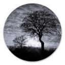 Wandcirkel Alu-Dibond Black and White Sunset