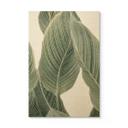 Cuadro de madera Calathea planta - Sisi & Seb