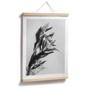 Póster Jo - Lirio encantador en blanco y negro