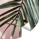 Tapet cirkel Palmeblad foran lyserød væg - Böhmer - vliesetapet/selvklæbende non-woven tapet