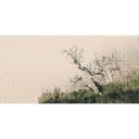 Architects Paper Papier peint photo Atelier 47 Death Tree Puzzle beige