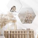 Hexagone - Alu-Dibond Annie - Fleurs de glace
