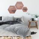 Hexagon - Alu-Dibond koper effect - Ijsberen