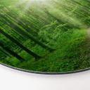 Wandcirkel Alu-Dibond - Sunny Forest